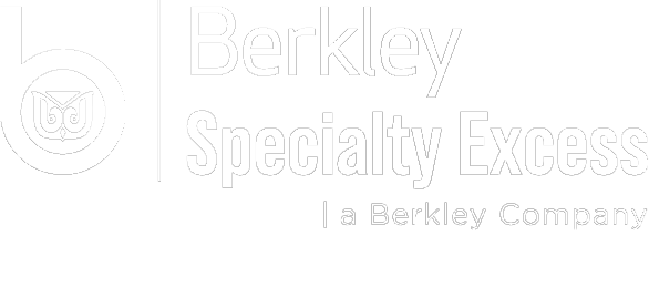 W. R. Berkley Footer Logo
